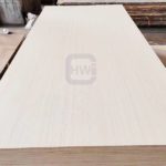 Anti-Slip Wire Mesh Film Faced Plywood