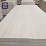 Anti-Slip Wire Mesh Film Faced Plywood