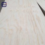 Anti-Slip Wire Mesh Film Faced Plywood